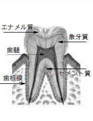 挿絵3