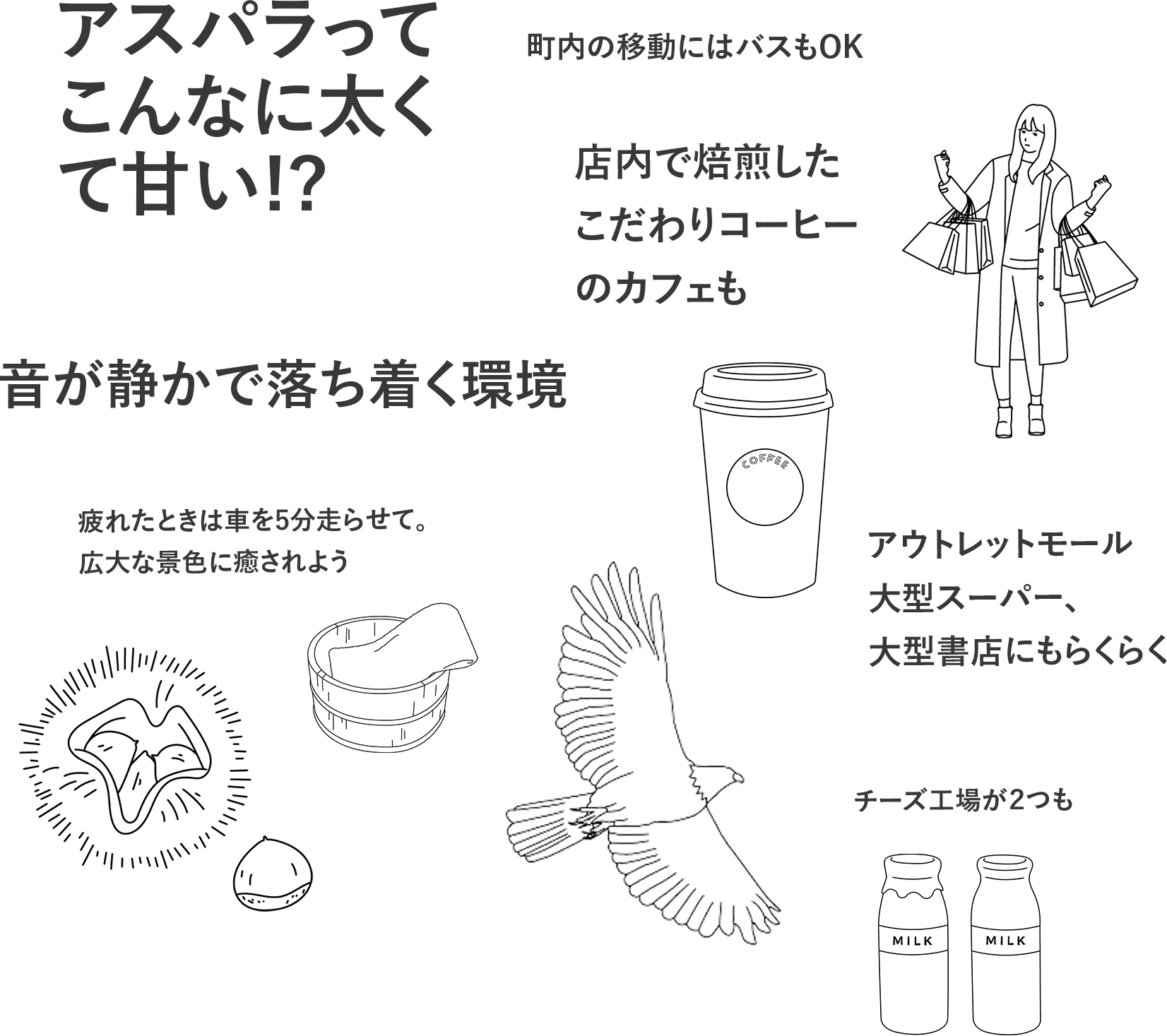 アスパラってこんなに太くて甘い!?町内の移動にはバスもOK。店内で焙煎したこだわりコーヒーのカフェも。音が静かで落ち着く環境。疲れたときは車を5分走らせて。広大な景色に癒されよう。アウトレットモール、大型スーパー、大型書店にもらくらく。チーズ工場が２つも