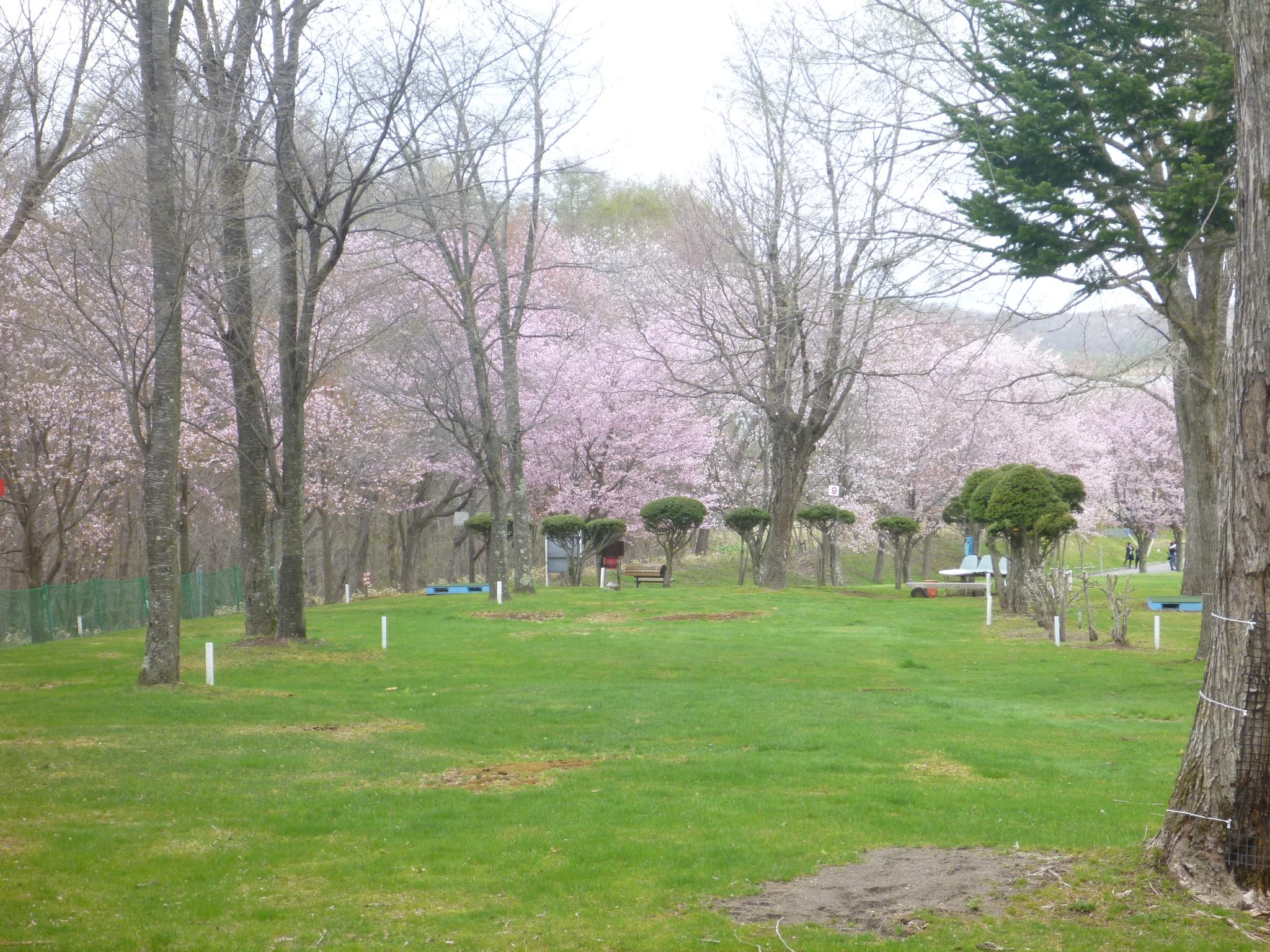 ときわ公園パークゴルフ