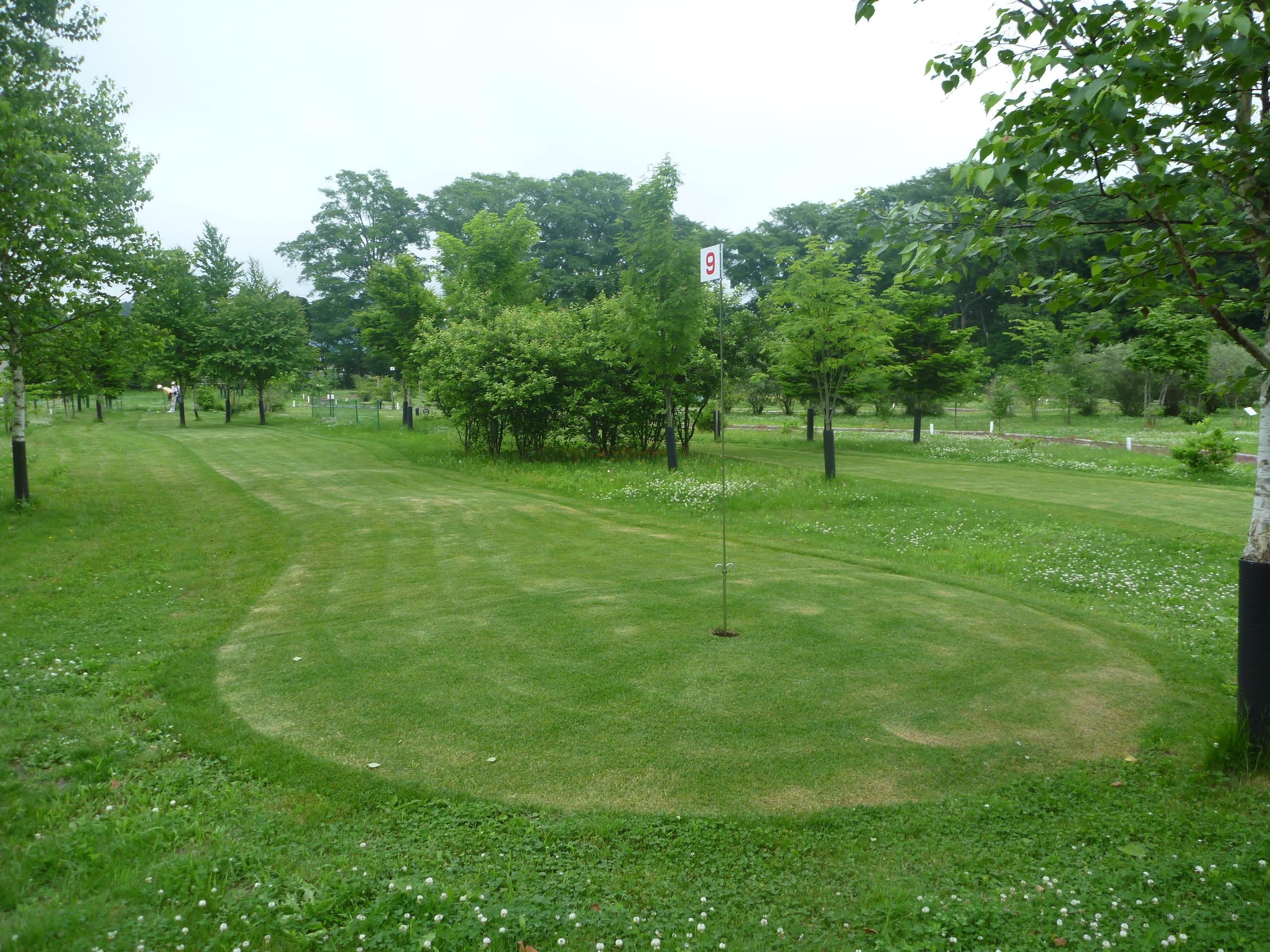 鹿公園パークゴルフ