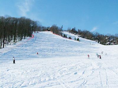 ph-leisure03.jpg